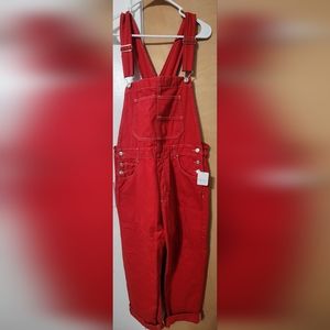 Free People Heart Eyes Ziggy Overalls
